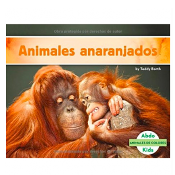 Libro mercado público 3
